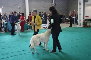 maimg_8253