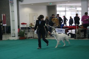 maimg_8269