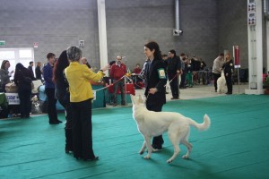 maimg_8274