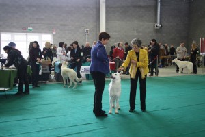 maimg_8289
