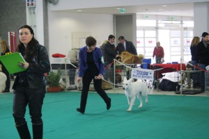 maimg_8308