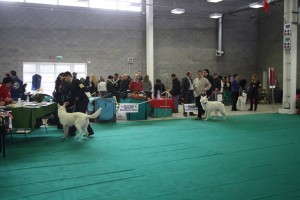 maimg_8329