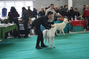 maimg_8333