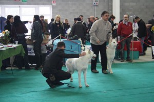 maimg_8336