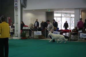 maimg_8349