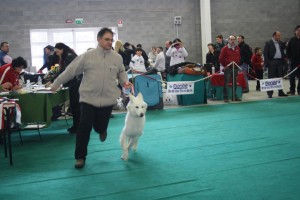 maimg_8351