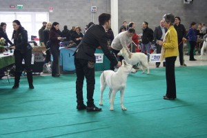 maimg_8354