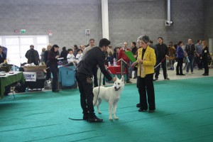 maimg_8358