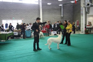 maimg_8365