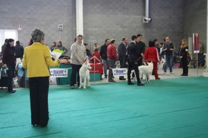 maimg_8380