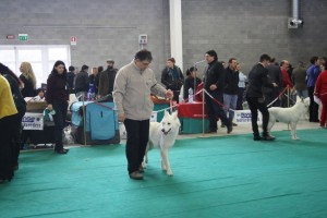 maimg_8383