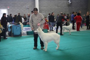 maimg_8386