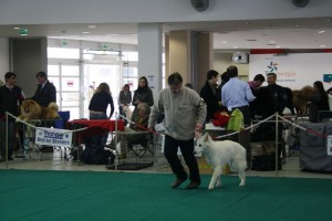 maimg_8426