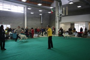 maimg_8436