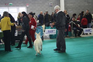 maimg_8441