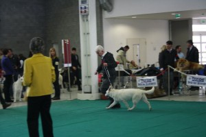 maimg_8453