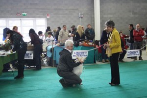 maimg_8460