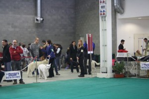 maimg_8461