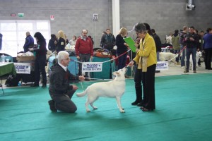 maimg_8465