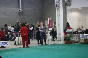 maimg_8482