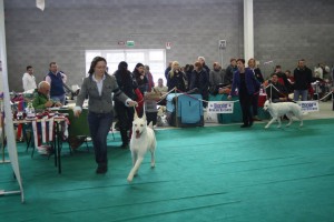 maimg_8502
