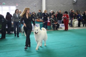 maimg_8529