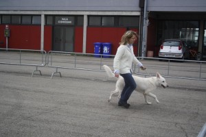 reimg_8861