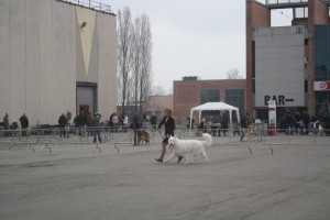 reimg_8880