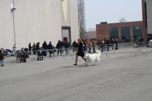 reimg_8912
