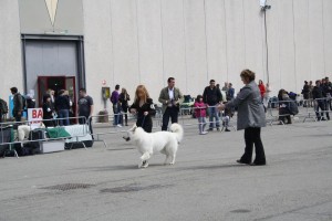 reimg_8931