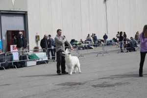 reimg_8948