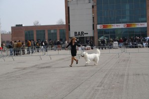 reimg_9041