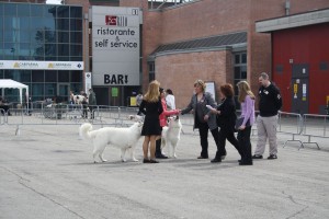 reimg_9052