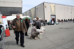 reimg_9104