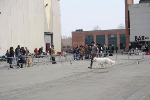 reimg_9113