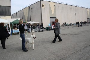 reimg_9131