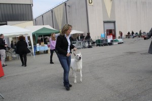 reimg_9132