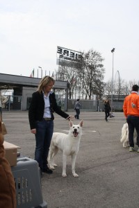 reimg_9214  