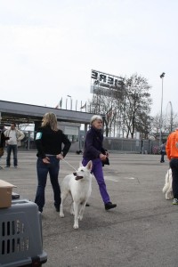 reimg_9216  