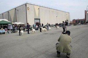 reimg_9219  