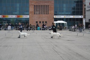 reimg_9274  