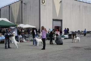 reimg_9289  