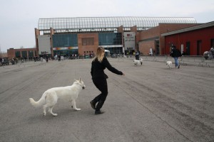 reimg_9296  
