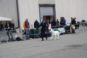 reimg_9303  