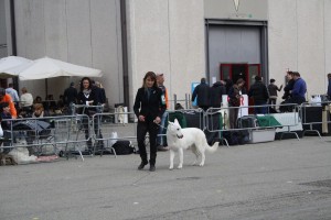 reimg_9306  