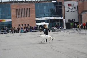 reimg_9324  