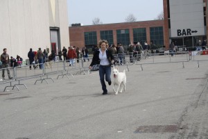 reimg_9336  