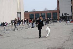 reimg_9337  