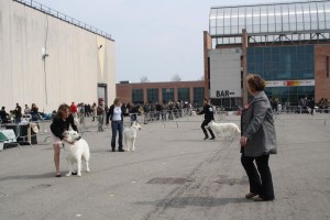 reimg_9338  