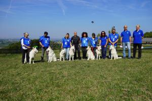 Gruppo TC 2026